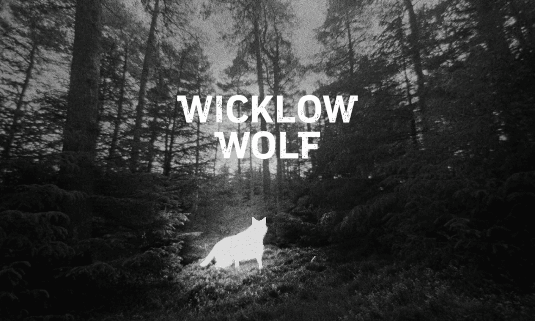 Wicklow Wolf